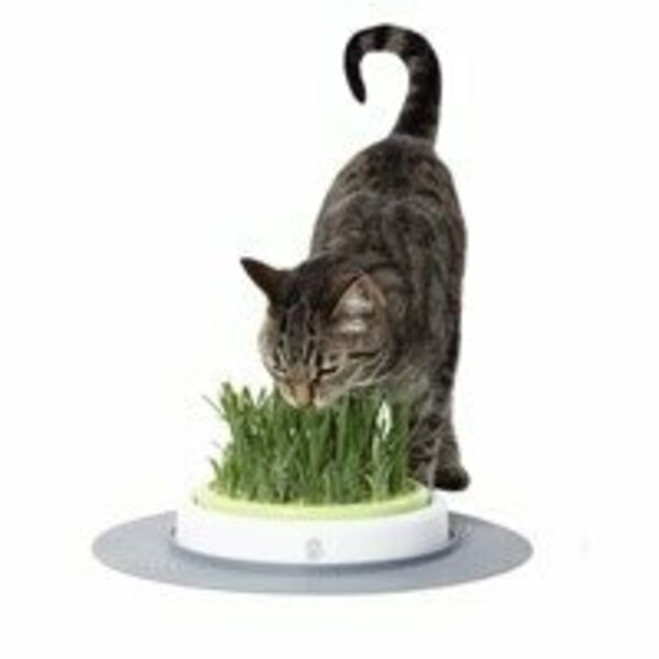 Catit Design Senses Grass Garden Kit 492